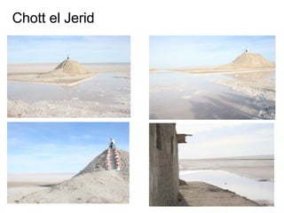 Chott el Jerid 