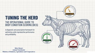Body Condition Score of Dairy and Beef Cattle | PPTX