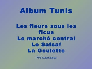 Album Tunis
Les fleurs sous les
ficus
Le marché central
Le Safsaf
La Goulette
PPS Automatique
 