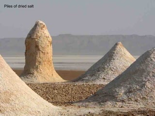 Piles of dried salt 