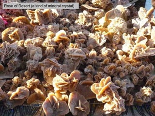 Rose of Desert (a kind of mineral crystal) 