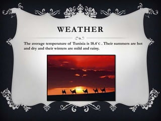 WEATHER
The average temperature of Tunisia is 18.4˚C . Their summers are hot
and dry and their winters are mild and rainy.
 
