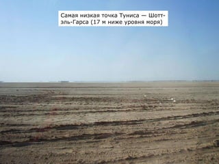Самая низкая точка Туниса — Шотт-
эль-Гарса (17 м ниже уровня моря)
 