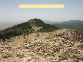 самая высокая — гора Шамби (1544 м)
 