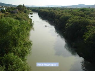 Река Меджерда
 