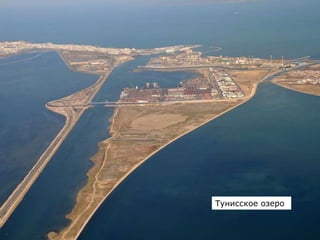 Тунисское озеро
 
