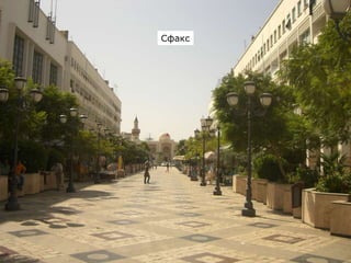 Сфакс
 