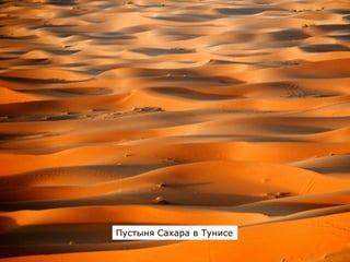 Пустыня Сахара в Тунисе
 