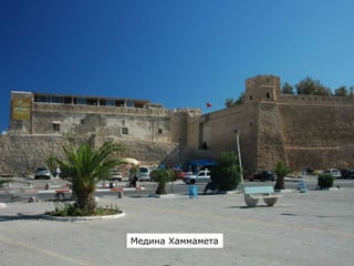 Медина Хаммамета
 