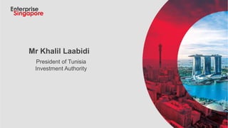 Mr Khalil Laabidi
President of Tunisia
Investment Authority
 