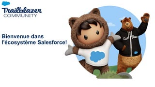 Bienvenue dans
l'écosystème Salesforce!
 