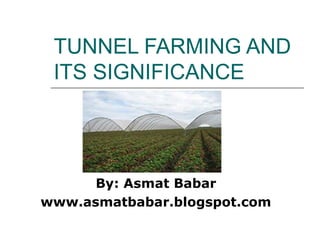 TUNNEL FARMING AND
ITS SIGNIFICANCE

By: Asmat Babar
www.asmatbabar.blogspot.com

 