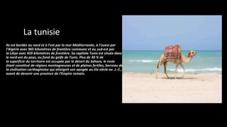 La tunisie
lle est bordée au nord et à l’est par la mer Méditerranée, à l’ouest par
l’Algérie avec 965 kilomètres de frontière commune et au sud-est par
la Libye avec 459 kilomètres de frontière. Sa capitale Tunis est située dans
le nord-est du pays, au fond du golfe de Tunis. Plus de 30 % de
la superficie du territoire est occupée par le désert du Sahara, le reste
étant constitué de régions montagneuses et de plaines fertiles, berceau de
la civilisation carthaginoise qui atteignit son apogée au iiie siècle av. J.-C.,
avant de devenir une province de l’Empire romain.
 