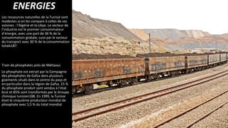 ENERGIES
Les ressources naturelles de la Tunisie sont
modestes si on les compare à celles de ses
voisines : l’Algérie et la Libye. Le secteur de
l’industrie est le premier consommateur
d’énergie, avec une part de 36 % de la
consommation globale, suivi par le secteur
du transport avec 30 % de la consommation
totale187.
Train de phosphates près de Métlaoui.
Le phosphate est extrait par la Compagnie
des phosphates de Gafsa dans plusieurs
gisements situés dans le centre du pays et
en particulier dans la région de Gafsa. 15 %
du phosphate produit sont vendus à l’état
brut et 85% sont transformés par le Groupe
chimique tunisien188. En 1999, la Tunisie
était le cinquième producteur mondial de
phosphate avec 5,5 % du total mondial.
 