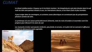 Le climat méditerranéen s’impose sur le territoire tunisien : les températures sont plus élevées dans le sud,
mais les étés sont partout chauds et secs, les intersaisons douces, et les hivers frais et plus humides.
Il peut neiger dans les montagnes, et certaines zones désertiques ne connaissent pas de précipitations
plusieurs années de suite.
Le printemps est une saison particulièrement clémente, mais les mois d’octobre et novembre sont très
propices pour découvrir les oasis du sud.
Les moments à éviter sont janvier et février, plus froids et arrosés, et le plein été où canicule et affluence
rendent la découverte moins agréable.
CLIMAT
 