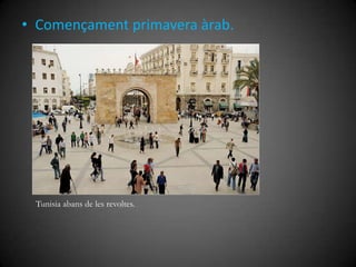 • Començament primavera àrab.

Tunisia abans de les revoltes.

 
