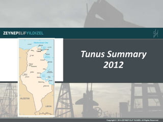 Tunus Summary
2012
 
