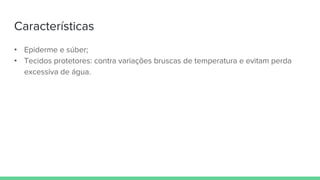 Características
• Epiderme e súber;
• Tecidos protetores: contra variações bruscas de temperatura e evitam perda
excessiva de água.
 