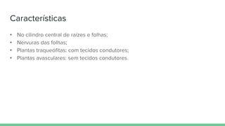 Características
• No cilindro central de raízes e folhas;
• Nervuras das folhas;
• Plantas traqueófitas: com tecidos condutores;
• Plantas avasculares: sem tecidos condutores.
 