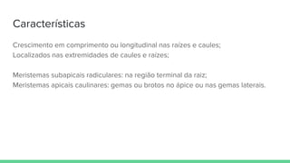 Características
Crescimento em comprimento ou longitudinal nas raízes e caules;
Localizados nas extremidades de caules e raízes;
Meristemas subapicais radiculares: na região terminal da raiz;
Meristemas apicais caulinares: gemas ou brotos no ápice ou nas gemas laterais.
 