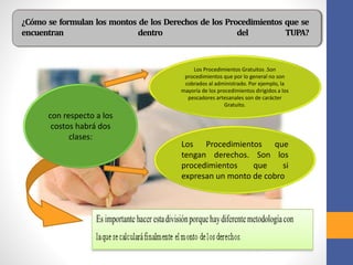 ¿Cómo se formulan los montos de los Derechos de los Procedimientos que se
encuentran dentro del TUPA?
con respecto a los
costos habrá dos
clases:
Los Procedimientos Gratuitos .Son
procedimientos que por lo general no son
cobrados al administrado. Por ejemplo, la
mayoría de los procedimientos dirigidos a los
pescadores artesanales son de carácter
Gratuito.
Los Procedimientos que
tengan derechos. Son los
procedimientos que si
expresan un monto de cobro
 