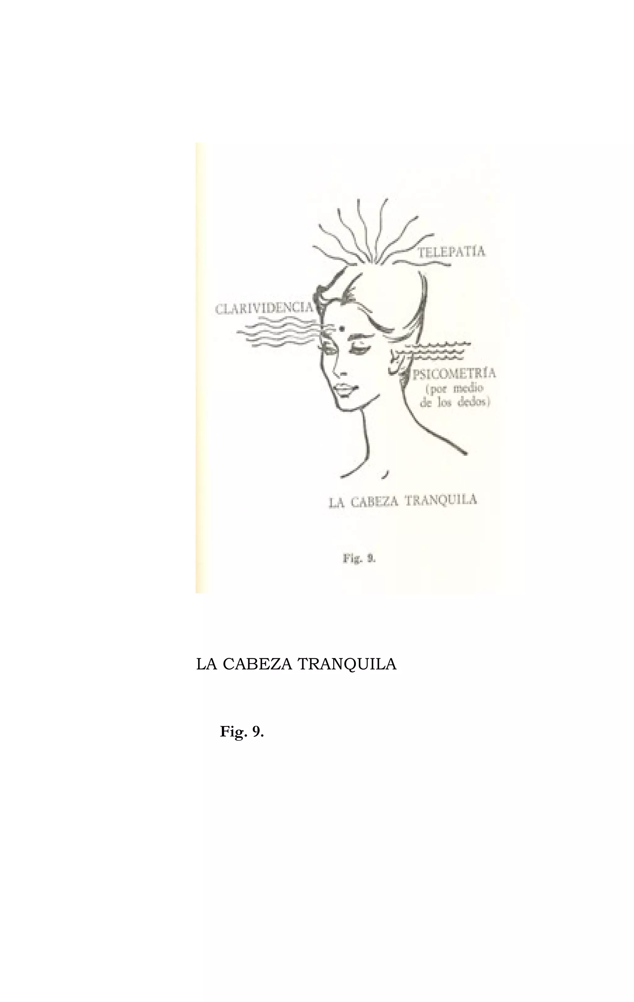 LA CABEZA TRANQUILA
Fig. 9.
 