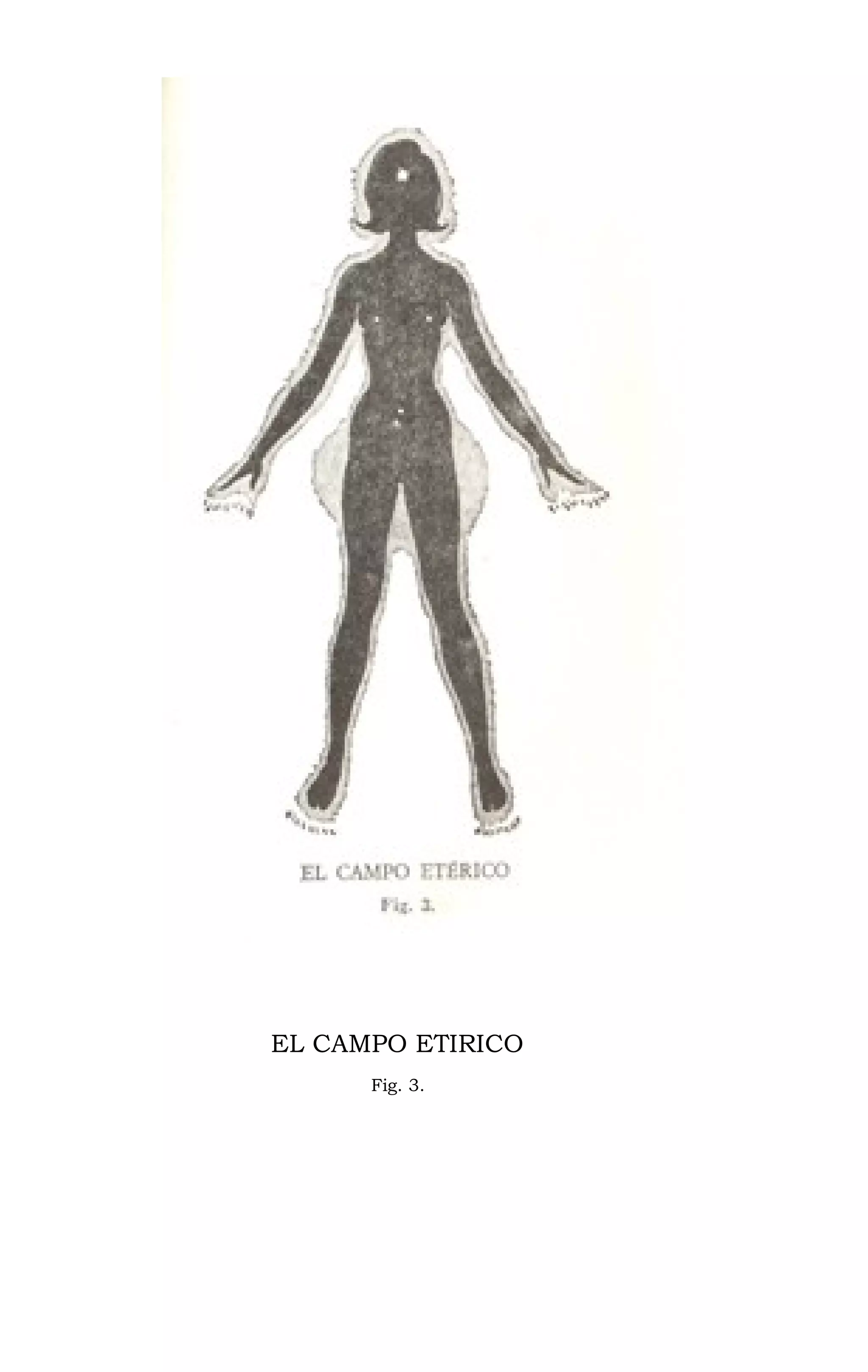 EL CAMPO ETIRICO
Fig. 3.
 