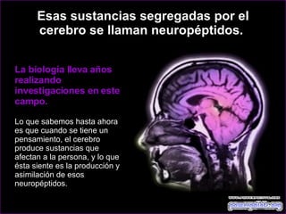 Esas sustancias segregadas por el cerebro se llaman neuropéptidos.  La biología lleva años realizando investigaciones en este campo.  Lo que sabemos hasta ahora es que cuando se tiene un pensamiento, el cerebro produce sustancias que afectan a la persona, y lo que ésta siente es la producción y asimilación de esos neuropéptidos.  