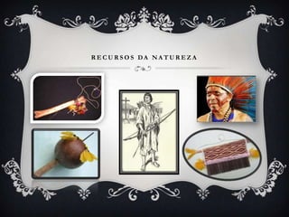 R E C U R S O S DA N A T U R E Z A
 