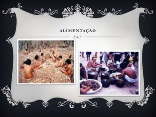 A L I M E N TA Ç Ã O
 