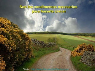 Son los condimentos necesarios  para hacerte crecer Visita:  http://www.RenuevoDePlenitud.com 