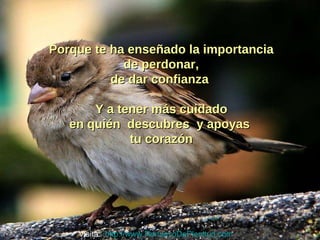 Porque te ha enseñado la importancia de perdonar, de dar confianza  Y a tener más cuidado en quién  descubres  y apoyas  tu corazón Visita:  http://www.RenuevoDePlenitud.com 