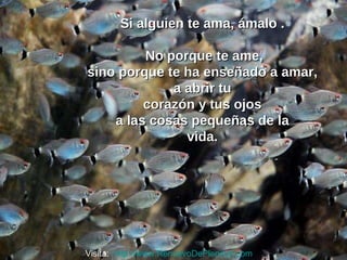 Si alguien te ama, ámalo .  No porque te ame, sino porque te ha enseñado a amar,  a abrir tu  corazón y tus ojos  a las cosas pequeñas de la  vida.  Visita:  http://www.RenuevoDePlenitud.com 