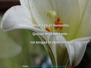 Ahora es el momento.  Quizás más adelante… no tengas la oportunidad. Visita:  http://www.RenuevoDePlenitud.com 