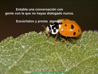 Entabla una conversación con  gente con la que no hayas dialogado nunca.  Escúchalos y presta  atención. Visita:  http://www.RenuevoDePlenitud.com 