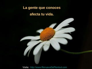 La gente que conoces  afecta tu vida.  Visita:  http://www.RenuevoDePlenitud.com 