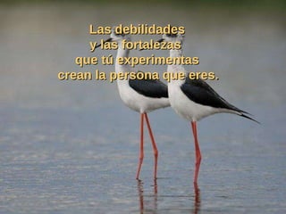 Las debilidades y las fortalezas  que tú experimentas crean la persona que eres . Visita:  http://www.RenuevoDePlenitud.com 