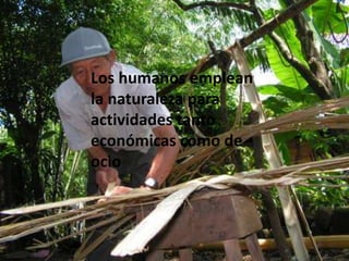Los humanos emplean la naturaleza para actividades tanto económicas como de ocio