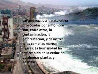 Las amenazas a la naturaleza provocadas por el hombre son, entre otras, la contaminación, la deforestación, y desastres tales como las mareas negras. La humanidad ha intervenido en la extinción de algunas plantas y animales.