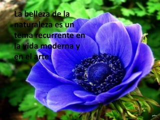 La belleza de la naturaleza es un tema recurrente en la vida moderna y en el arte:La belleza en la naturaleza 