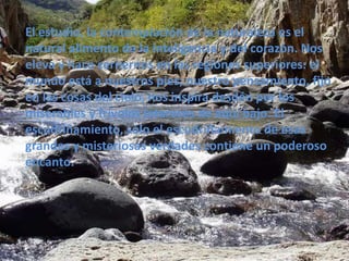 El estudio, la contemplación de la naturalezaes el natural alimento de la inteligencia y del corazón. Nos eleva y hace cernernos en las regiones superiores: el mundo está a nuestros pies; nuestro pensamiento, fijo en las cosas del cielo, nos inspira desdén por los miserables y frívolos intereses de aquí bajo. El escudriñamiento, sólo el escudriñamiento de esas grandes y misteriosas verdades contiene un poderoso encanto.