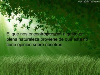 El que nos encontremos tan a gusto en plena naturaleza proviene de que ésta no tiene opinión sobre nosotros 
