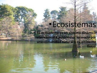 EcosistemasEL ecosistema es un sistema dinámico relativamente autónomo, formado por una comunidad natural y su ambiente físico. 