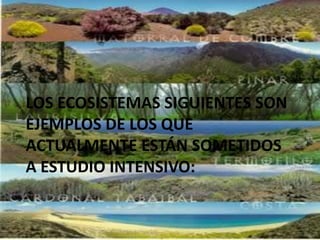 LOS ECOSISTEMAS SIGUIENTES SON EJEMPLOS DE LOS QUE ACTUALMENTE ESTÁN SOMETIDOS A ESTUDIO INTENSIVO: