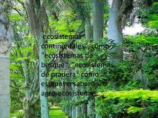 "ecosistemas continentales", como "ecosistemas de bosque", "ecosistemas de pradera" como estepas o sabanas, o agro-ecosistemas.