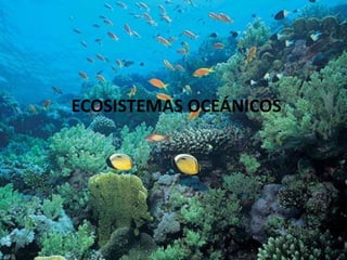 ECOSISTEMAS OCEÁNICOS