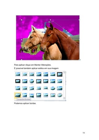 Para aplicar clique em Manter Alterações.
É possível também aplicar estilos em sua imagem




Podemos aplicar bordas.




                                                  11
 