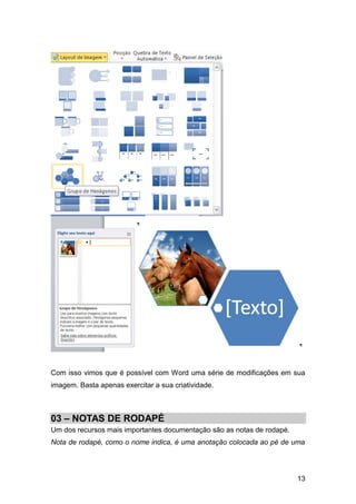 Com isso vimos que é possível com Word uma série de modificações em sua
imagem. Basta apenas exercitar a sua criatividade.



03 – NOTAS DE RODAPÉ
Um dos recursos mais importantes documentação são as notas de rodapé.
Nota de rodapé, como o nome indica, é uma anotação colocada ao pé de uma




                                                                        13
 