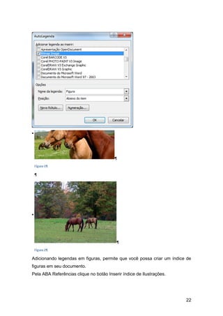 Adicionando legendas em figuras, permite que você possa criar um índice de
figuras em seu documento.
Pela ABA Referências clique no botão Inserir índice de Ilustrações.




                                                                       22
 