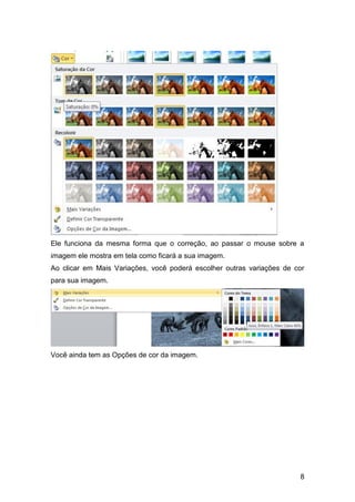 Ele funciona da mesma forma que o correção, ao passar o mouse sobre a
imagem ele mostra em tela como ficará a sua imagem.
Ao clicar em Mais Variações, você poderá escolher outras variações de cor
para sua imagem.




Você ainda tem as Opções de cor da imagem.




                                                                       8
 